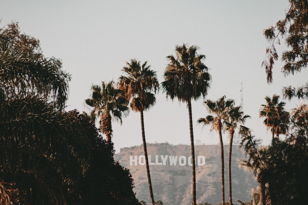 hollywood sign
