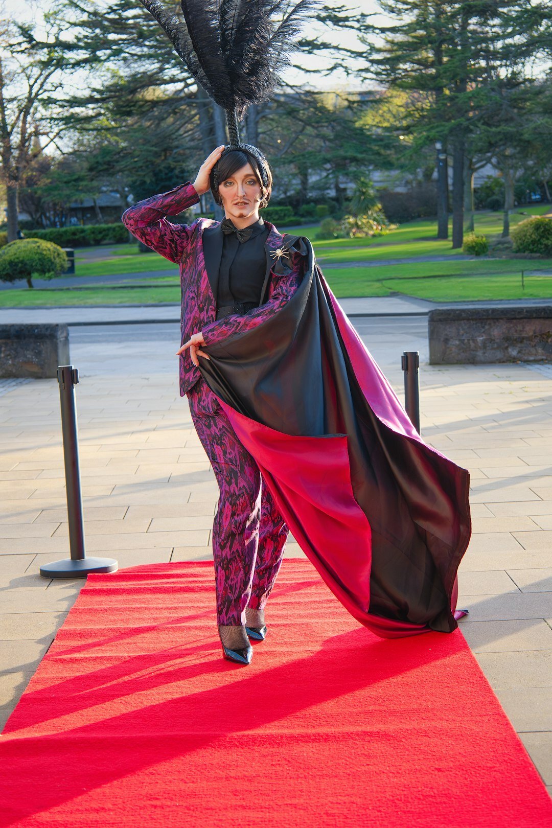 hollywood star red carpet
